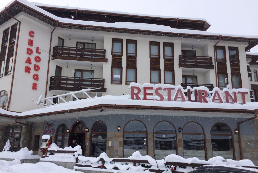 Studio In Cedar Lodge 3 Bansko Exterior foto